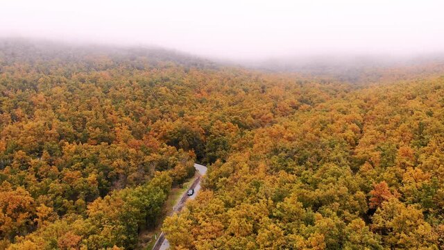 Vuelo sobre robledal con niebla en oto&ntilde;o con veh&iacute;culo negro circulando por la carretera