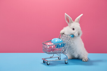 White Easter bunny rabbit with shopping basket and painted eggs on blue and pink background