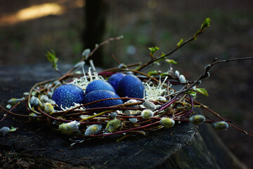 Mystical blue eggs in a speck in the nest on the theme of Easter and the holiday