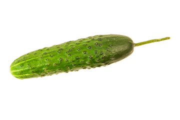 Organic raw green cucumber isolated on a white background