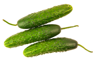 Organic raw green cucumbers isolated on a white background
