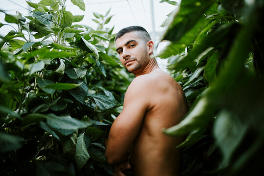 Handsome shirtless young man standing amidst plants at organic farm
