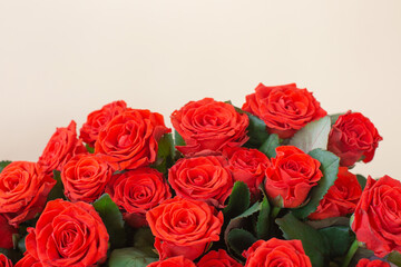 Naklejka premium Beautiful bouquet of red roses on light background