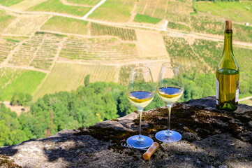 Tasting of white or jaune Jura wine on vineyards near Chateau-Chalon village in Jura region, France - obrazy, fototapety, plakaty