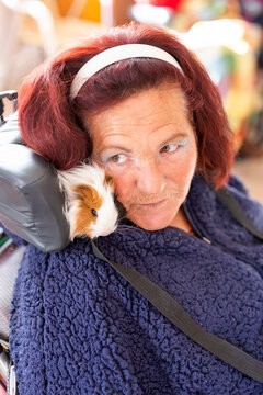 Redhead disabled woman looking away while sitting with guinea pig in nursing home