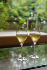 Tasting of french sparkling white wine with bubbles champagne on outdoor terrace in France