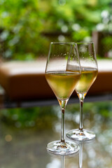 Tasting of french sparkling white wine with bubbles champagne on outdoor terrace in France