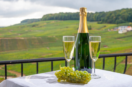 Tasting of french sparkling white wine with bubbles champagne on outdoor terrace with view on grand cru Champagne vineyards in Cramant, near Epernay, France