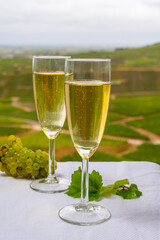 Tasting of french sparkling white wine with bubbles champagne on outdoor terrace with view on grand cru Champagne vineyards in Cramant, near Epernay, France