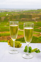 Tasting of french sparkling white wine with bubbles champagne on outdoor terrace with view on grand cru Champagne vineyards in Cramant, near Epernay, France