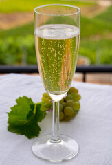 Tasting of french sparkling white wine with bubbles champagne on outdoor terrace with view on grand cru Champagne vineyards in Cramant, near Epernay, France