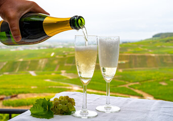 Tasting of french sparkling white wine with bubbles champagne on outdoor terrace with view on grand cru Champagne vineyards in Cramant, near Epernay, France © barmalini