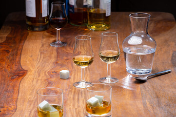 Tasting glass with strong alcoholic spirit drink whisky, cognac, armagnac or calvados