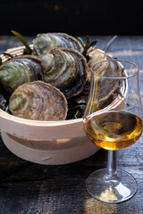 Food and drink pairing, fresh raw European flat oyster grown in Brittany in Belon river, France and scotch single malt whisky from Islay island, Scotland