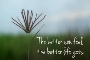 Fotobehang Inspirational motivational quote - The better you feel, the better life gets. With single wild grass flower on blur blue green minimalism background. The concept of attracting good feelings to come. © Maria Marganingsih