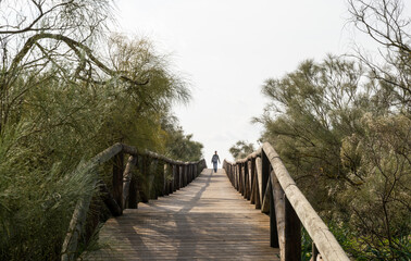 Obraz premium woman walking along a long wooden boardwalk