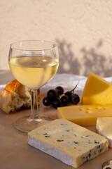 Tasting and pairing of cold white wine with different cheeses in sunny Provence, France