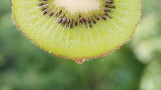 Close-up shot of a drop of juice flowing from a kiwi wedge on a green background. Freshness, fruit and vitamin concepts.