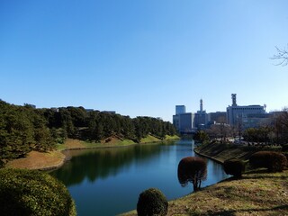 Fototapeta premium 皇居の濠
