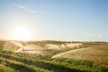 Sunlight shining through spray of water irrigating crops in farm paddock