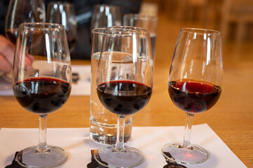 Professional tasting of different fortified dessert ruby, tawny port wines in glasses in porto cellars in Vila Nova de Gaia, Portugal