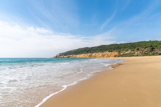peaceful sandy beach with gentle waves and tree covered cliffs in the background