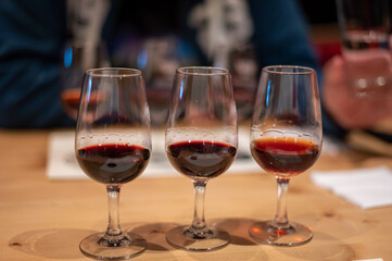 Professional tasting of different fortified dessert ruby, tawny port wines in glasses in porto cellars in Vila Nova de Gaia, Portugal