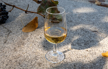 Outdoor tasting of different fortified port wines in glasses in sunny autumn, Douro Valley, Portugal
