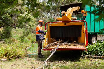 Tradie feeding branches into wood chipping machine