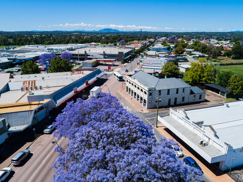 Looking past jacaranda trees down main street in country town of Singleton