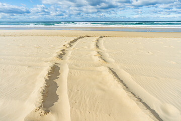 Tyre tracks in the sand on a beach