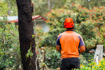 Tree removalist man working in garden