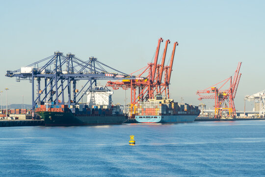 Cargo ships lined up under cranes at a sea port