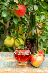 Glass of rose apple cider from Normandy, France and green apple tree with ripe red fruits on background