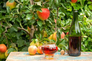 Glass of rose apple cider from Normandy, France and green apple tree with ripe red fruits on background