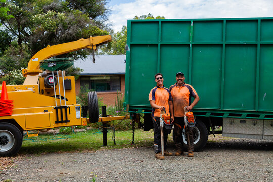 Portrait of a team of men who are tree felling lumberjacks with their chainsaws in front of truck