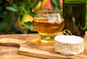 Taste of Normandy, France, glass of apple cider and camembert cheese and green apple tree with ripe...