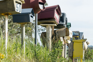 Looking up at a row of colourful letterboxes on posts