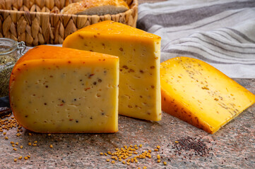 Cheese collection, pieces of hard yellow Dutch gouda cheese with dried caraway, mustard, cumin, fenugreek, pepper seeds