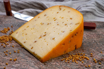 Cheese collection, piece of hard yellow Dutch gouda cheese with dried fenugreek seeds