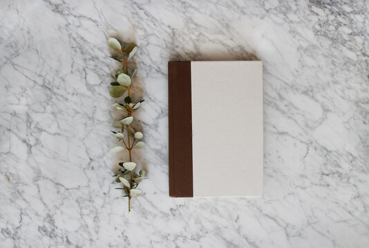 Book with eucalyptus branch on marble background