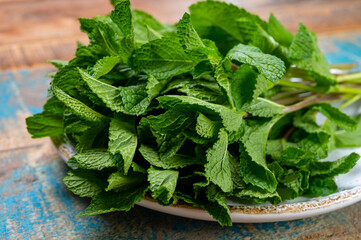 Fresh green organic mint herb for healthy herbal tea