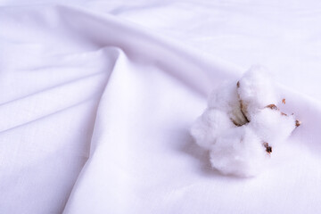 white cotton flowers on natural cotton textile close up