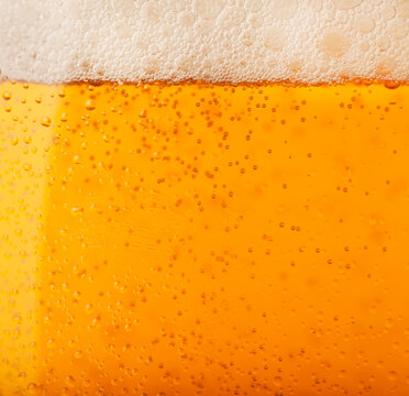 Close-up of lager in glass