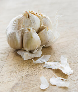 Studio shot of fresh garlic