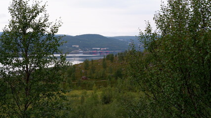 Northern tundra forest view from the hills in Kola peninsula