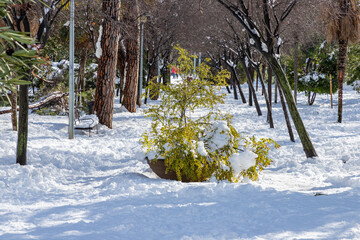 trail of O'Donnel park of Alcala de henares snowy covered on a sunny day after snowfall