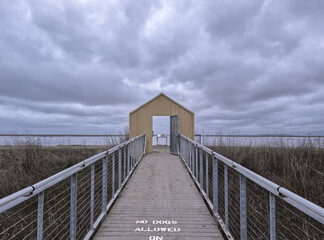 Fototapeta premium San Francisco Bay Area Park on Cloudy Day