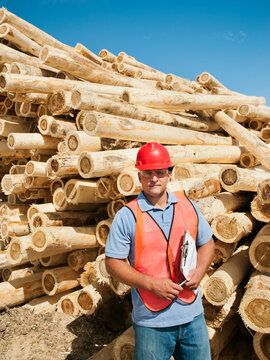 Engineer in front of stack of timber