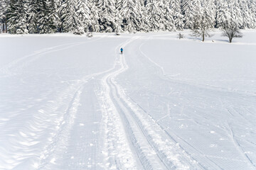 Fototapeta premium Cross country skiing track on sunny day